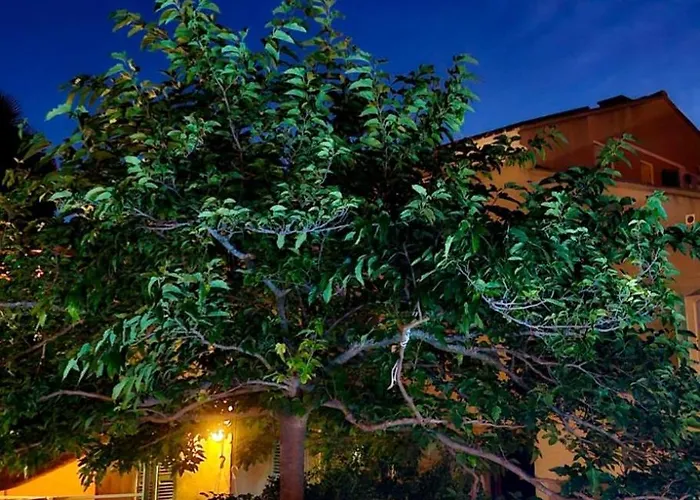 Lägenhet Le Panoramic Saint-Florent (Corsica)